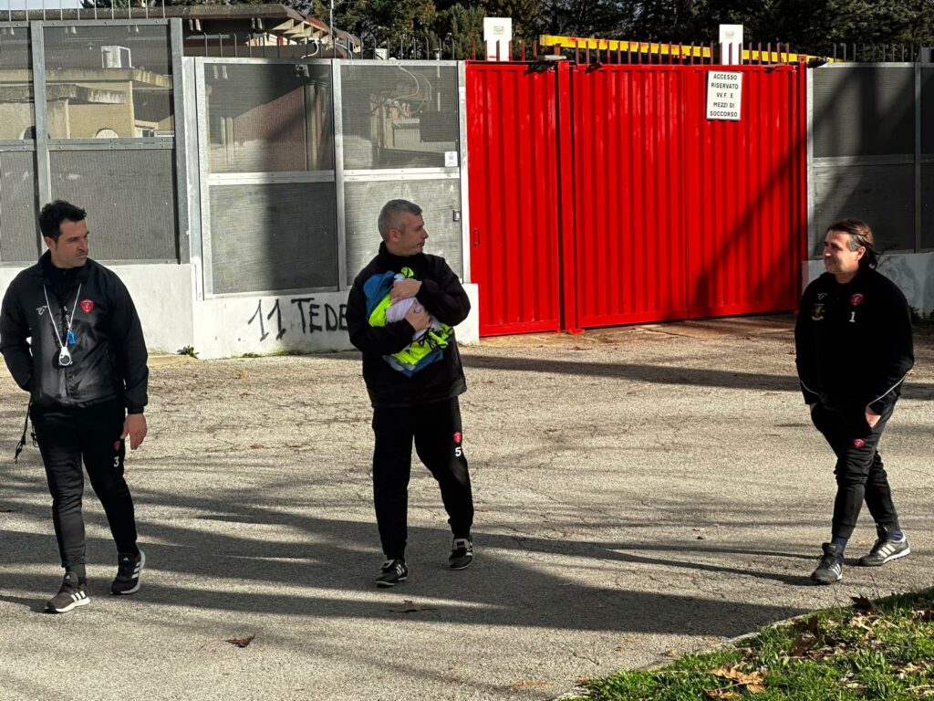 Gatti sdringola tedesco perugia